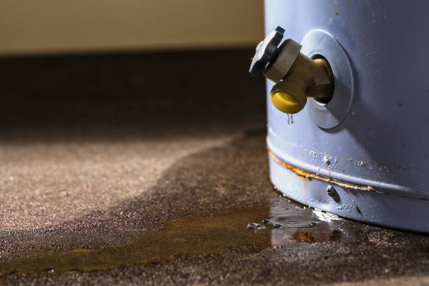 Best Water damage repair service  in Stinnett, TX