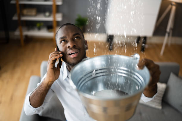  Stinnett, TX Water damage restoration Pros