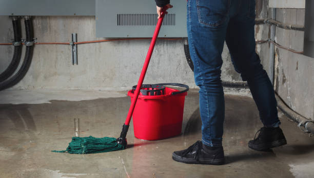 Best Sewage cleanup and water damage restoration  in Stinnett, TX