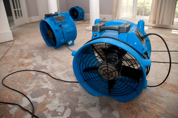 Best 24/7 water damage repair  in Stinnett, TX
