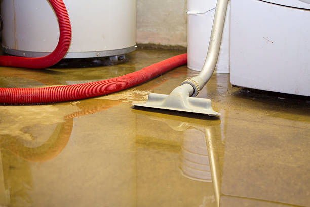 Best Water damage cleanup near me  in Stinnett, TX
