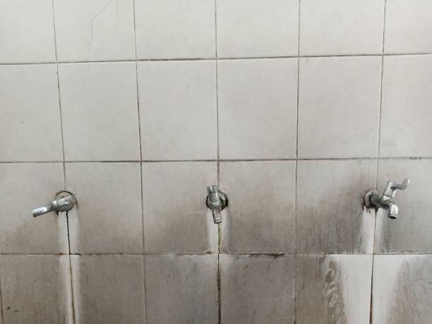 Best Ceiling water damage repair  in Stinnett, TX